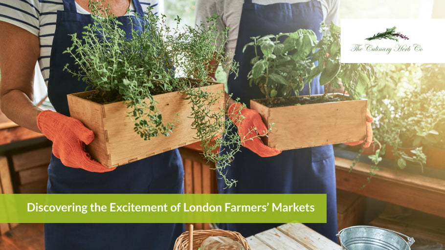 Discovering the Excitement of London Farmers’ Markets