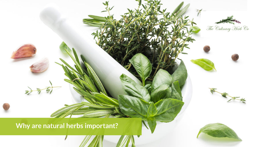 Why are natural herbs important?