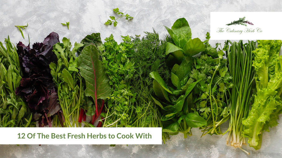 12 Of The Best Fresh Herbs to Cook With