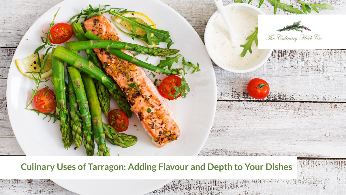 Culinary Uses of Tarragon Adding Flavour to Dishes Tarragon Plants