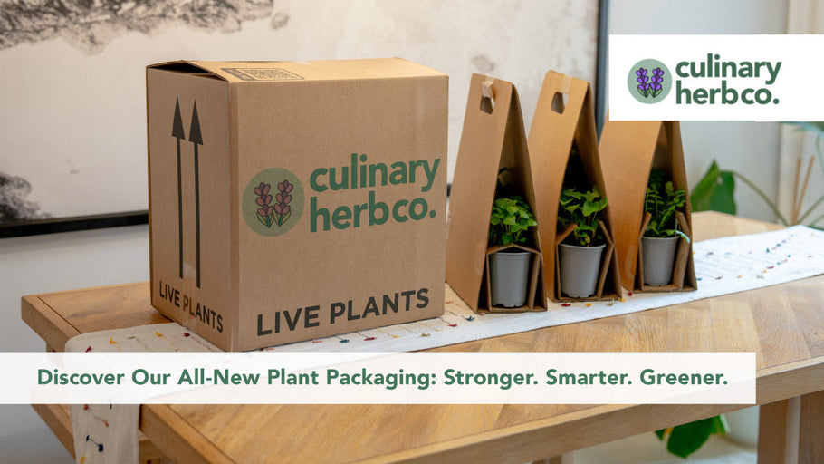Discover Our All-New Plant Packaging: Stronger. Smarter. Greener.