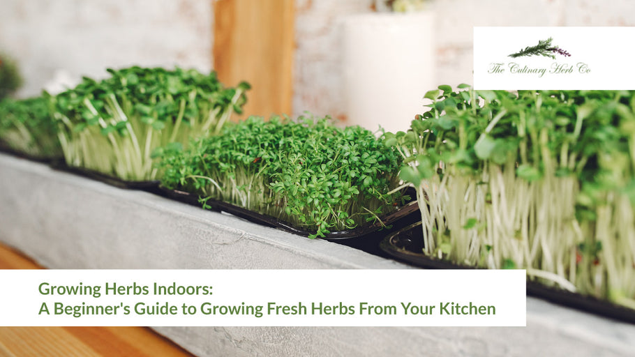 Growing Herbs Indoors: A Beginner's Guide to Growing Fresh Herbs From Your Kitchen
