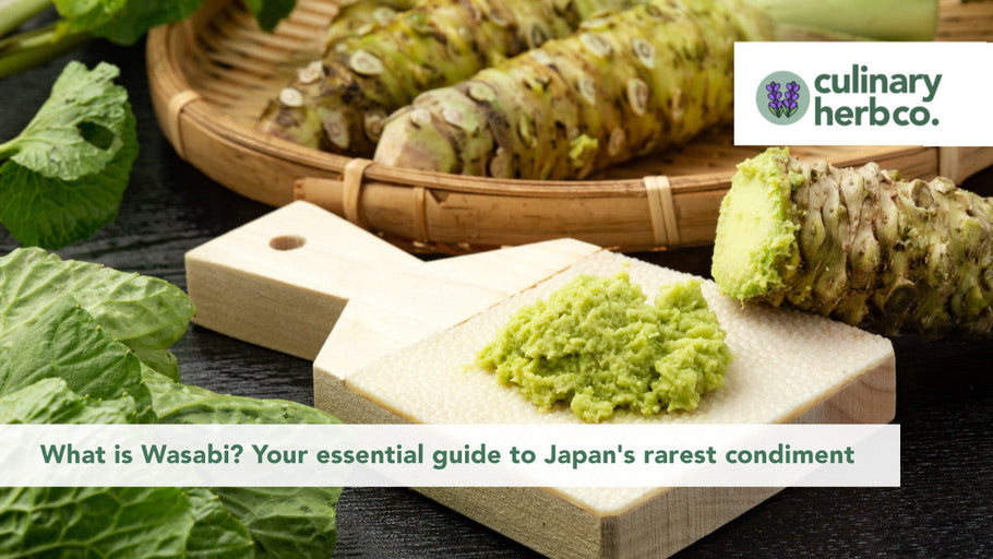 What is Wasabi? Your essential guide to Japan's rarest condiment